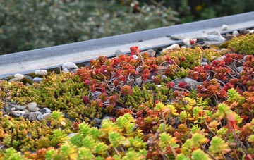 the cost of West Quantoxhead green roof installation