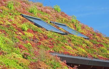 West Quantoxhead living roof systems