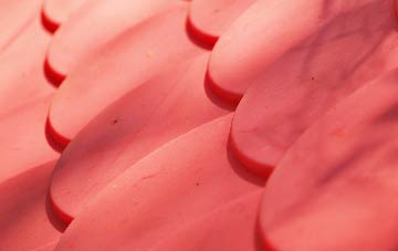 West Quantoxhead plastic roof costs