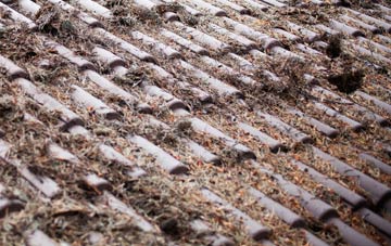 West Quantoxhead roof cleaning companies