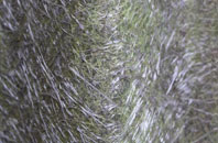 West Quantoxhead fibreglass roof work