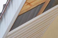 rated West Quantoxhead soffit repair companies